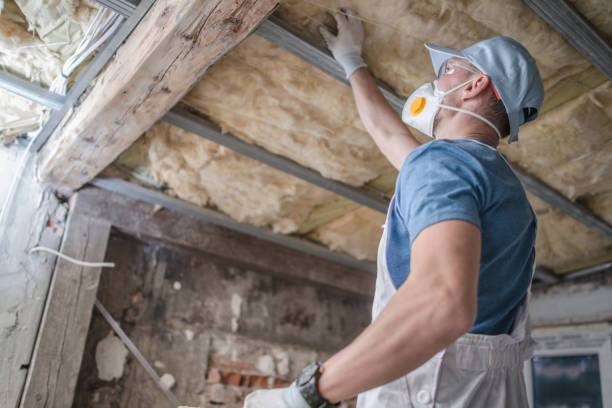 Best Insulation Installation Services in Goliad, TX